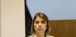 CDS requer inclusão da ilha de São Jorge na proposta para a reconversão de explorações de produção de leite em carne