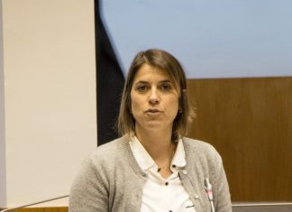 CDS requer inclusão da ilha de São Jorge na proposta para a reconversão de explorações de produção de leite em carne