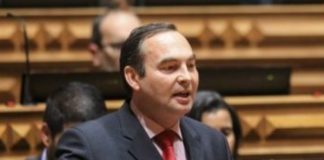 POSEI. António Ventura acusa Ministra da Agricultura de desconhecer a realidade açoriana