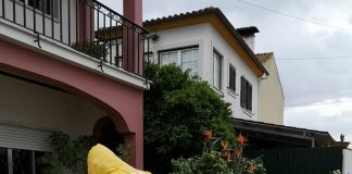 COVID-19: GNR descontaminou cerca de 2400 ambulâncias e 70 instalações