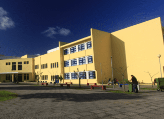 PSD/Açores quer testes à COVID-19 a alunos, professores e pessoal não docente