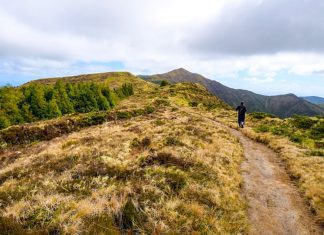 Governo dos Açores classifica a Serra da Tronqueira e o Planalto dos Graminhais como Zona Especial de Conservação