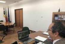 Novo regime jurídico de cessação da atividade agrícola nos Açores é mais apelativo
