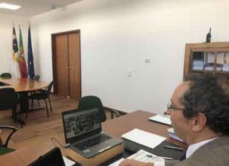 Novo regime jurídico de cessação da atividade agrícola nos Açores é mais apelativo