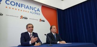 Bolieiro propõe que apoios ao rendimento dos agricultores sejam desligados da quantidade produzida