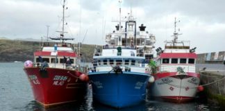 COVID-19 – Governo cria regime de cessação temporária da pesca DR