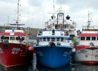 COVID-19 – Governo cria regime de cessação temporária da pesca DR
