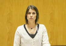 CDS quer mais qualificação para adultos em São Jorge