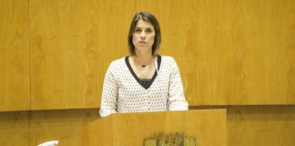 Parlamento açoriano aprova iniciativa do CDS-PP para apoiar trabalhadores independentes no primeiro ano de atividade