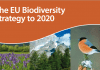 Governo dos Açores coordena projeto de apoio à implementação da Estratégia de Biodiversidade da União Europeia
