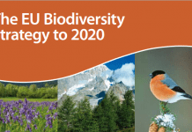 Governo dos Açores coordena projeto de apoio à implementação da Estratégia de Biodiversidade da União Europeia