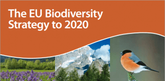 Governo dos Açores coordena projeto de apoio à implementação da Estratégia de Biodiversidade da União Europeia