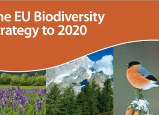 Governo dos Açores coordena projeto de apoio à implementação da Estratégia de Biodiversidade da União Europeia