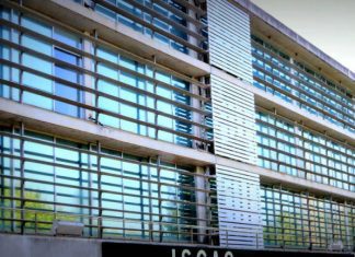 Covid-19: Politécnicos só deverão ter aulas práticas e laboratoriais em junho