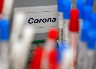 Açores testam mais de 5.600 membros da comunidade escolar