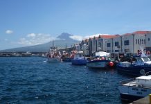 COVID-19 – Pescadores açorianos contemplados com Fundopesca e apoio excecional DR