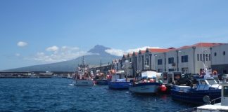 COVID-19 – Pescadores açorianos contemplados com Fundopesca e apoio excecional DR