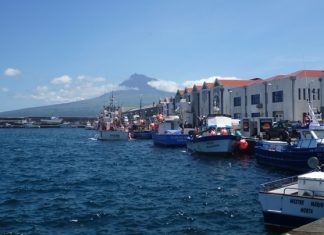 COVID-19 – Pescadores açorianos contemplados com Fundopesca e apoio excecional DR