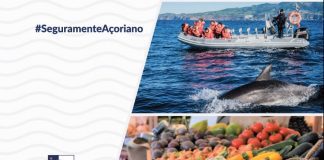 Economia Local – Campanha “Seguramente Açoriano” incentiva consumo de produtos Regionais DR
