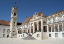 Cientistas descobrem proteína que pode contribuir para doenças cardíacas