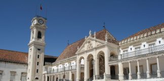 Cientistas descobrem proteína que pode contribuir para doenças cardíacas