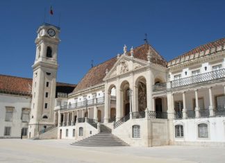 Cientistas descobrem proteína que pode contribuir para doenças cardíacas