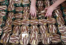Exportações da indústria conserveira penalizadas por quotas de sardinha “sem fundamento”