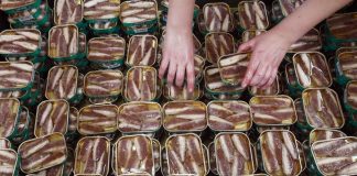 Exportações da indústria conserveira penalizadas por quotas de sardinha “sem fundamento”
