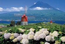 Faial regista aumento do turismo DR