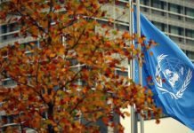ONU prevê que investimento estrangeiro caia 40% em 2020
