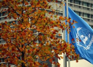 ONU prevê que investimento estrangeiro caia 40% em 2020