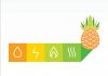 Governo dos Açores disponibiliza Manual de Eficiência Energética dedicado ao setor agroindustrial