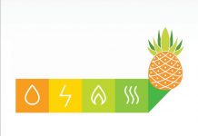 Governo dos Açores disponibiliza Manual de Eficiência Energética dedicado ao setor agroindustrial