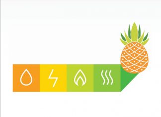 Governo dos Açores disponibiliza Manual de Eficiência Energética dedicado ao setor agroindustrial