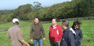 António Ventura questiona GNR sobre derrame de combustível ocorrido em São Brás
