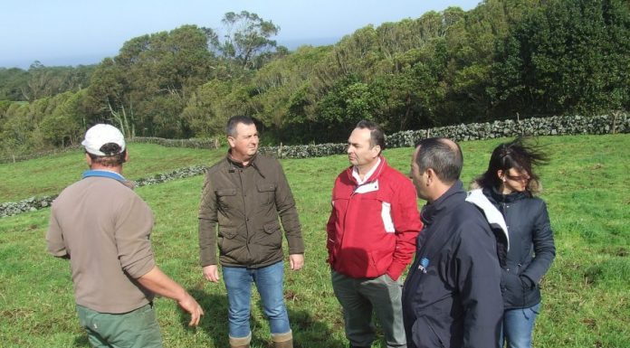 Abertas candidaturas para associações e cooperativas apresentarem projetos na área do desenvolvimento rural