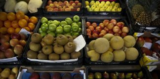 Vendas de loja ‘online’ de produtos portugueses cresce 300% durante pandemia nos EUA