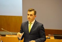 Guardas florestais. PSD confiante de que voltarão a ter carreira e regime jurídico 14 anos depois