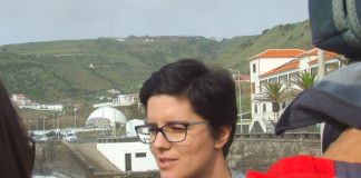 SANTA MARIA -PSD defende normalização do voo direto com Lisboa