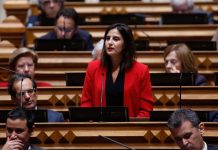 Deputados Socialistas congratulam autorização do Ministério das Finanças para financiamento dos cabos submarinos