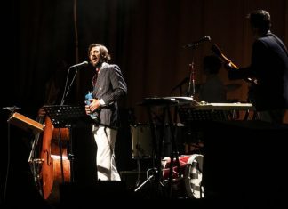 Bruno Nogueira faz edição especial de “Como é que o bicho mexe?” no domingo
