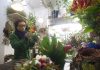 Pandemia teve um impacto de 180 milhões de euros no setor das plantas e flores
