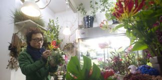 Pandemia teve um impacto de 180 milhões de euros no setor das plantas e flores