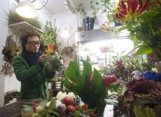Pandemia teve um impacto de 180 milhões de euros no setor das plantas e flores