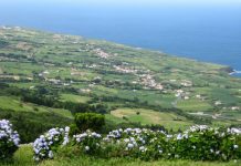 Ambiente – Freguesia do Salão é o local com o segundo ar mais limpo da Europa