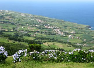 Ambiente – Freguesia do Salão é o local com o segundo ar mais limpo da Europa