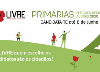 ELEIÇÕES LEGISLATIVAS REGIONAIS DOS AÇORES 2020 – Concluído processo de primárias abertas do LIVRE