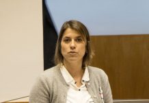 CDS pretende melhorar operacionalidade e ordenamento do Porto da Calheta