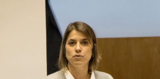 CDS pretende melhorar operacionalidade e ordenamento do Porto da Calheta