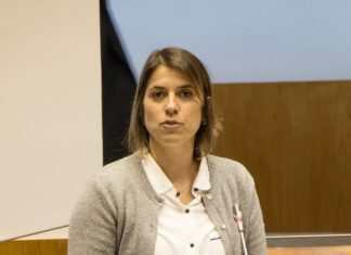 CDS pretende melhorar operacionalidade e ordenamento do Porto da Calheta